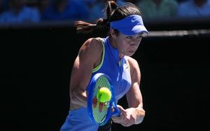 Image for Danilovićeva zaustavljena u drugom kolu Australijan opena