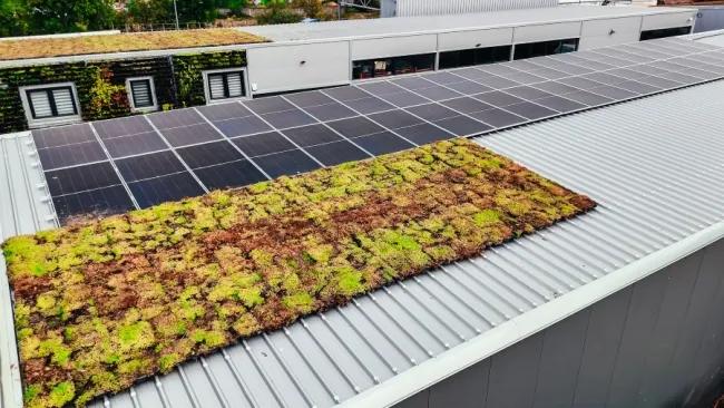 Image for UNDP: Inovativni zeleni kasetni krov nastao u saradnji srpske nauke i privrede