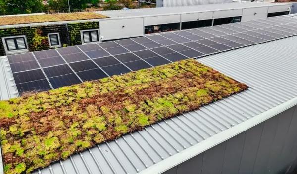 Image for UNDP: Inovativni zeleni kasetni krov nastao u saradnji srpske nauke i privrede