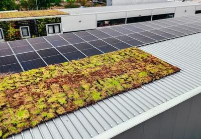 Image for UNDP: Inovativni zeleni kasetni krov nastao u saradnji srpske nauke i privrede