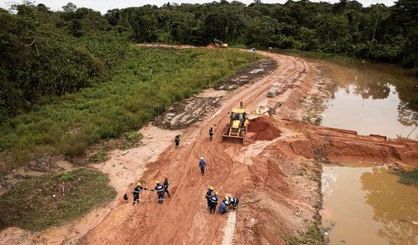 Image for Interpol u borbi protiv velike seče šuma u svetu