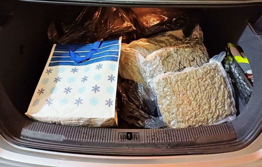 Image for Zaplenjena marihuana