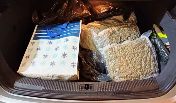 Image for Zaplenjena marihuana