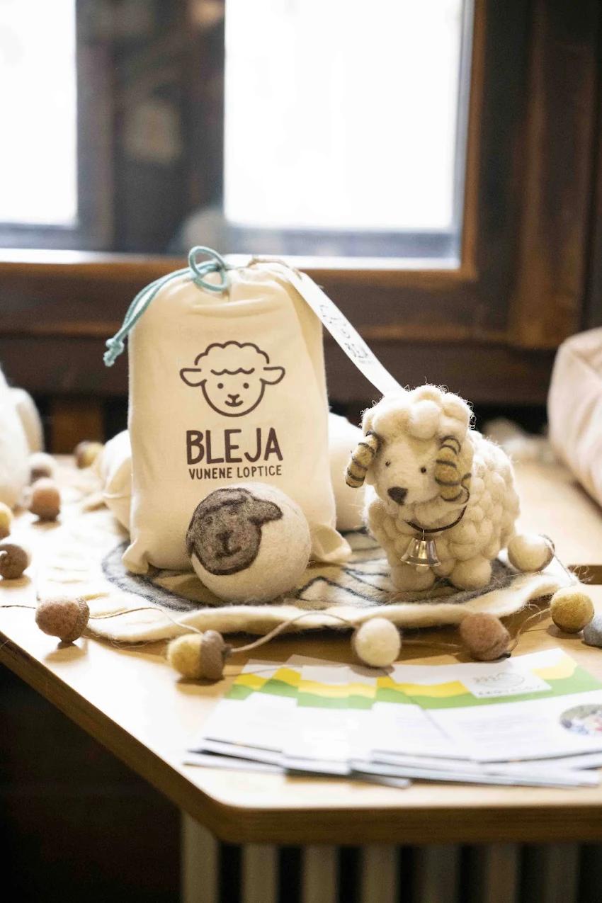 Image for Predstavljena idejna rešenja iz cirkularne ekonomije 20 preduzetnica iz Srbije