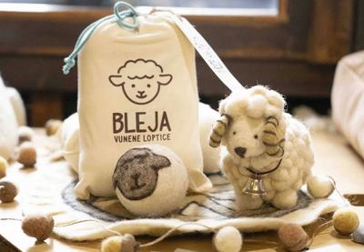 Image for Predstavljena idejna rešenja iz cirkularne ekonomije 20 preduzetnica iz Srbije