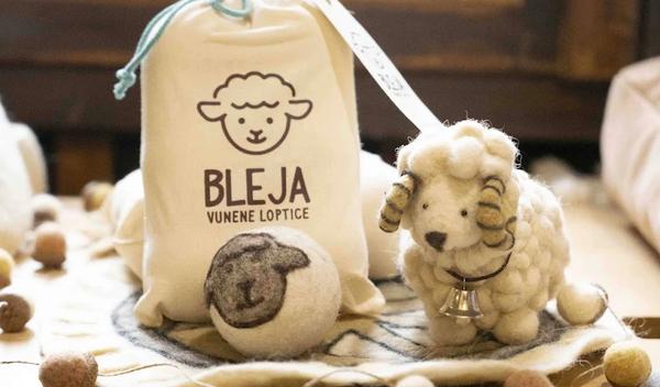 Image for Predstavljena idejna rešenja iz cirkularne ekonomije 20 preduzetnica iz Srbije