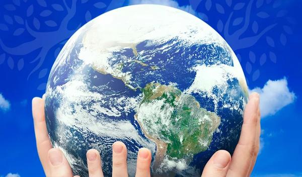 Image for Prihod BelgrAID festival 2026. za sađenje drveća širom Srbije