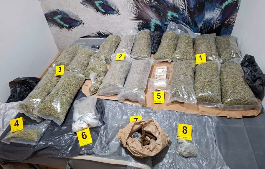 Image for Zaplenjena droga