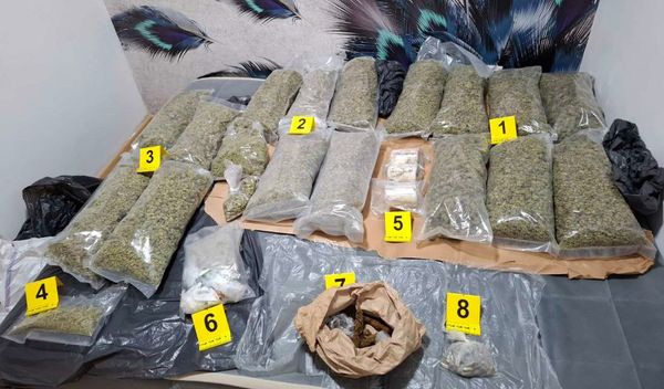 Image for Zaplenjena droga