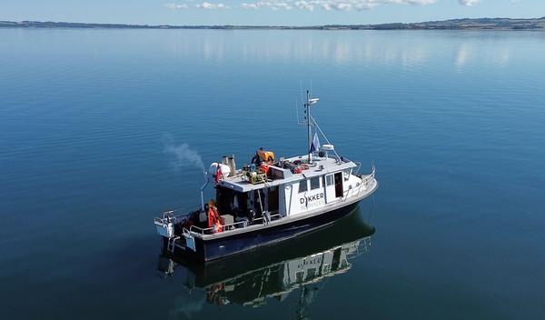 Image for Arheolozi u Danskoj otkrili naselje iz kamenog doba