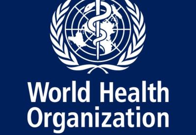 Image for Kolera se širi svetom