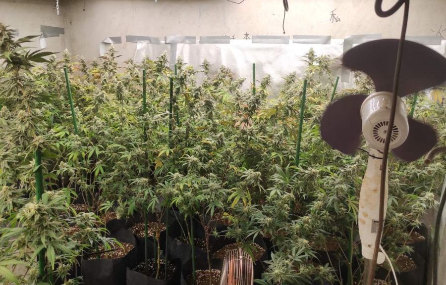 Image for Pronađena droga