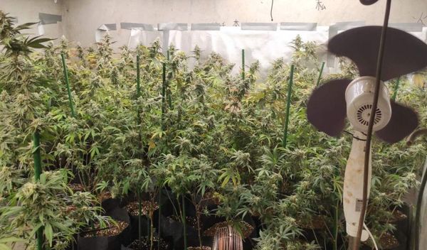 Image for Pronađena droga