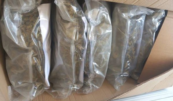 Image for Hapšenje zbog droge