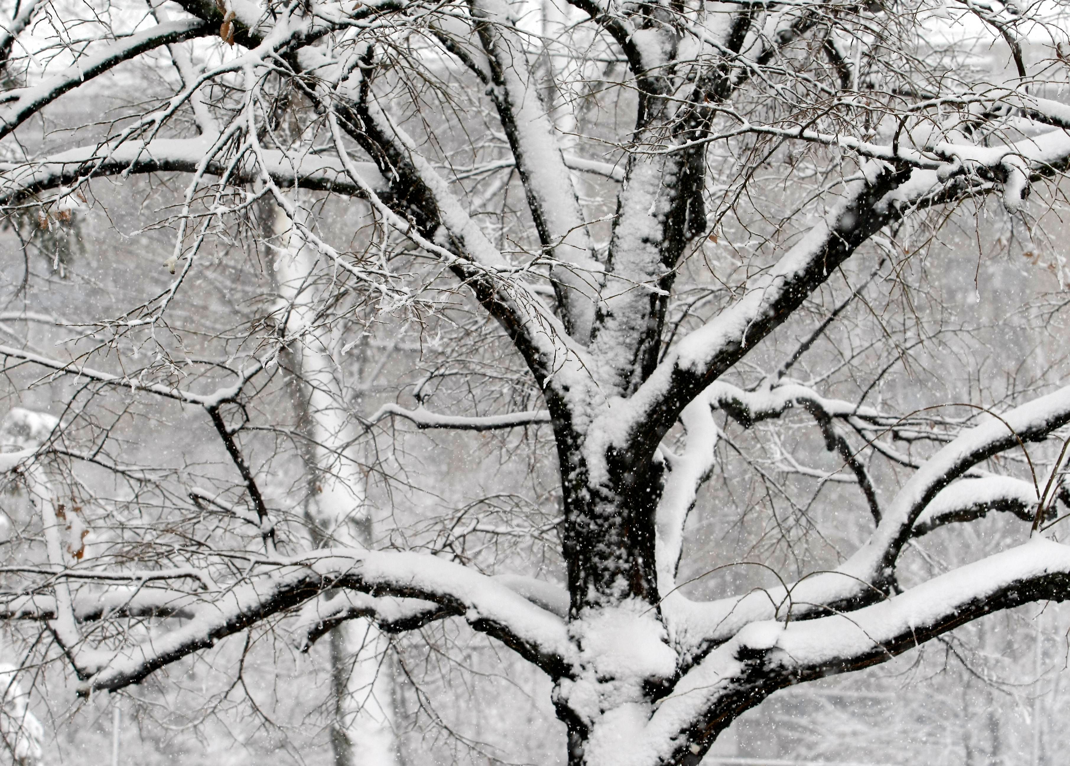 Image for RHMZ upozorio na ledenu kišu i sneg danas i sutra