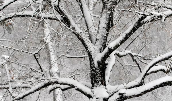 Image for RHMZ upozorio na ledenu kišu i sneg danas i sutra