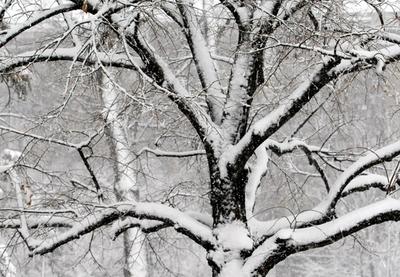 Image for RHMZ upozorio na ledenu kišu i sneg danas i sutra