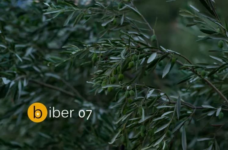 Image for Konkurs za kratku priču