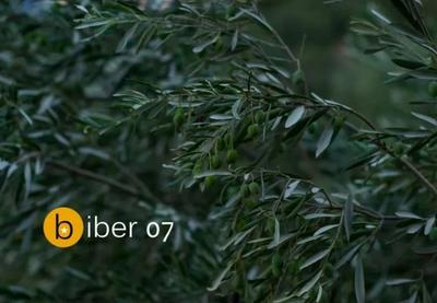 Image for Konkurs za kratku priču