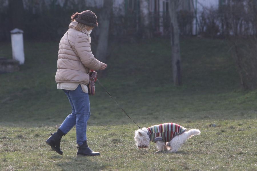 Image for Danas oblačno i hladno