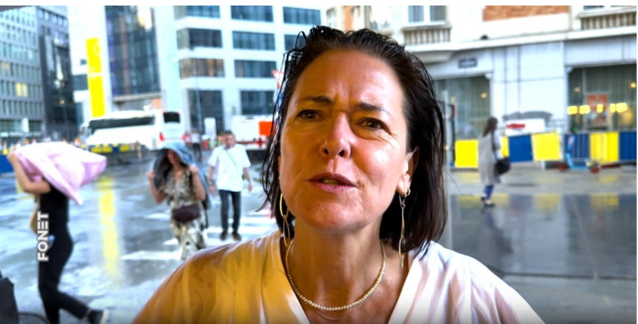 Image for Pitanje budućnosti demokratije