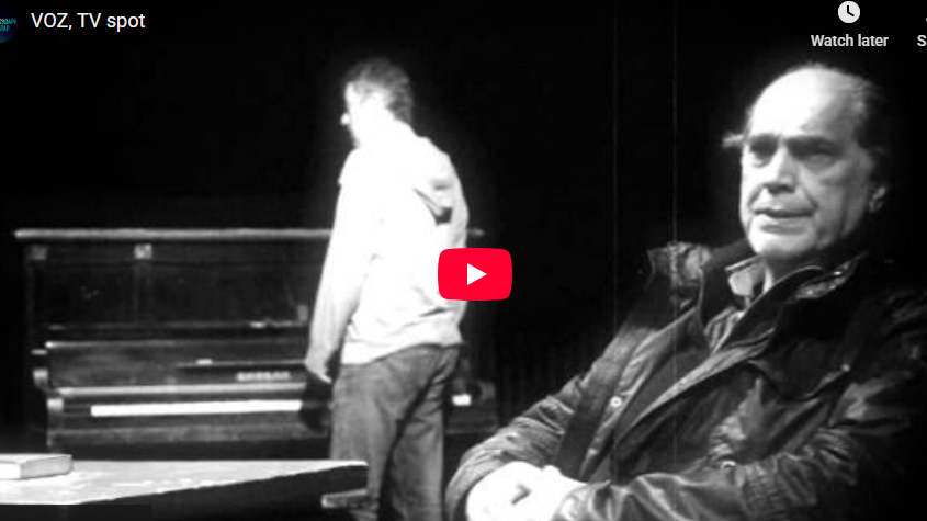 Image for Decenija predstave "Voz"