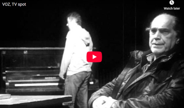 Image for Decenija predstave "Voz"