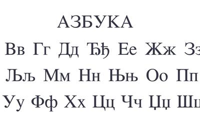 Image for Ćirilica - čuvar srpskog identiteta