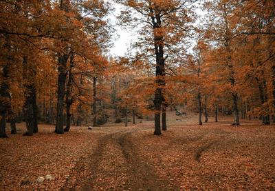 Image for Danas oblačno i uglavnom suvo, do 10 stepeni