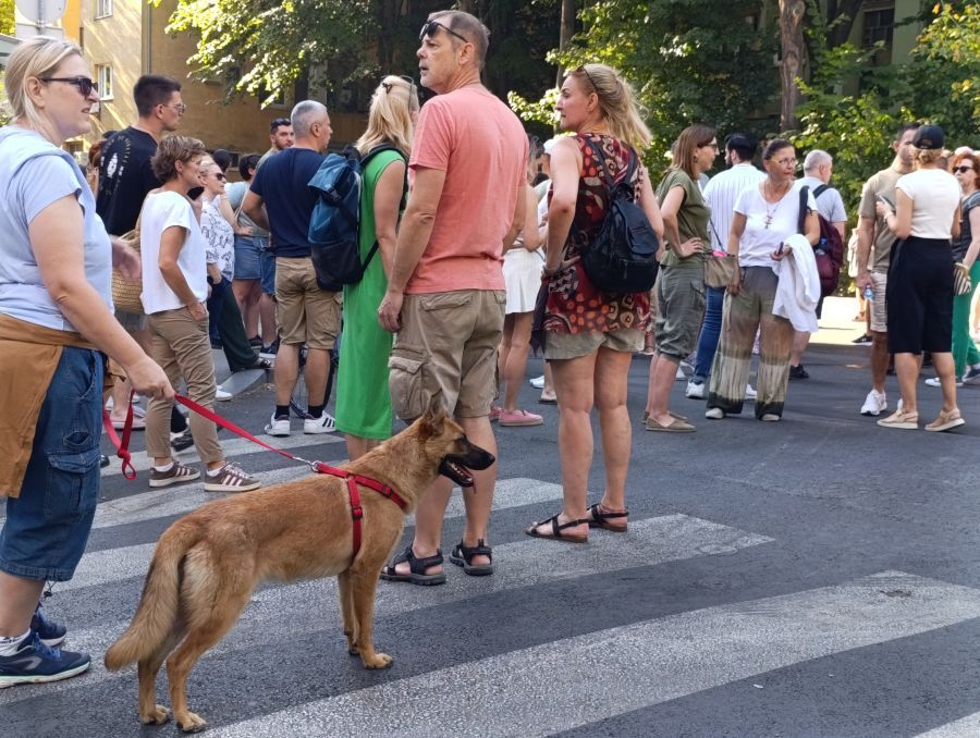 Image for Novo okupljanje u 15 časova