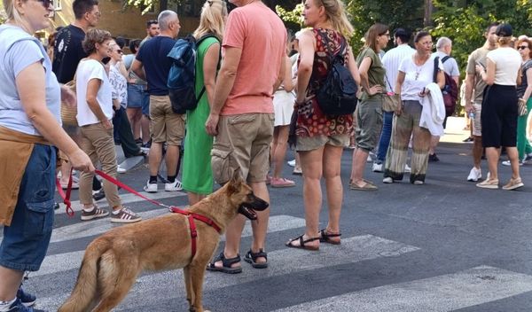 Image for Novo okupljanje u 15 časova