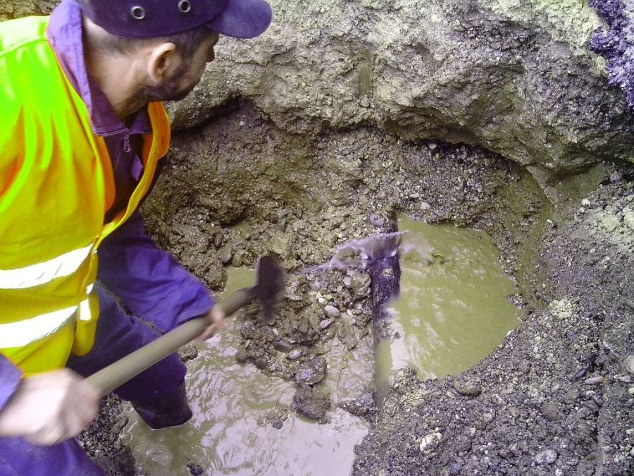 Image for Boksit obojio Drinu