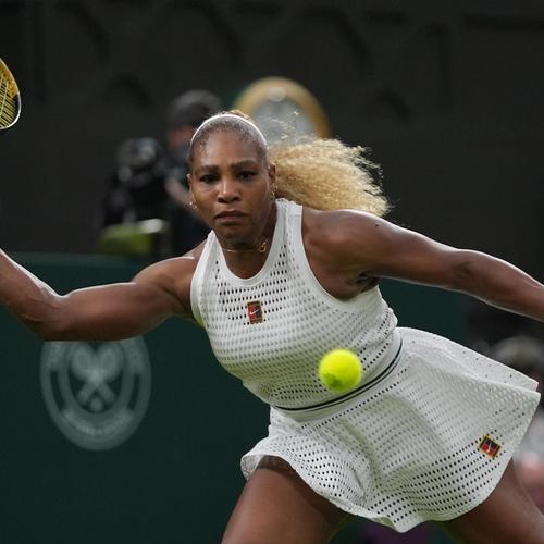 Image for Novak stao u odbranu Serene Vilijams