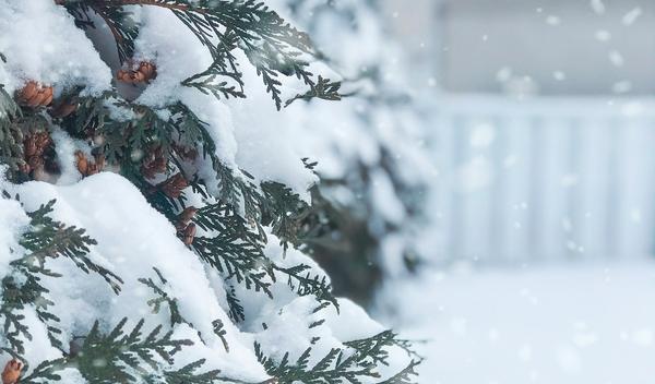 Image for Vremenska prognoza za subotu, 10. januar: Hladno sa snegom