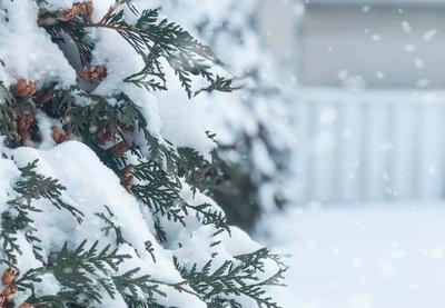 Image for Vremenska prognoza za subotu, 10. januar: Hladno sa snegom