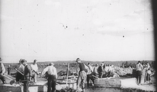 Image for Život u Jasenovcu – prinuda, glad i smrt