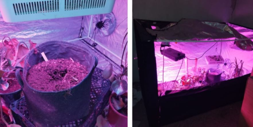 Image for Mini-laboratorija za marihuanu