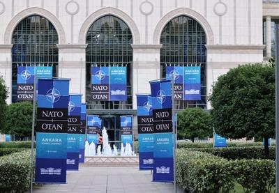 Česte kritike Trampa na račun NATO, uz najavljeno povlačenje trupa iz Evrope i šestomesečnu reviziju američkog vojnog prisustva na kontinentu, doprinele su neizvesnosti unutar Alijanse