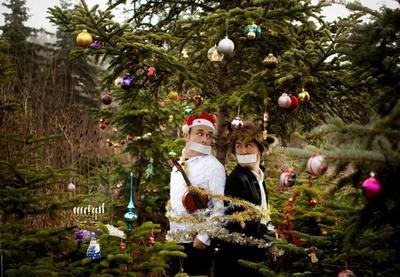 Image for Mala tiha noćna muzika