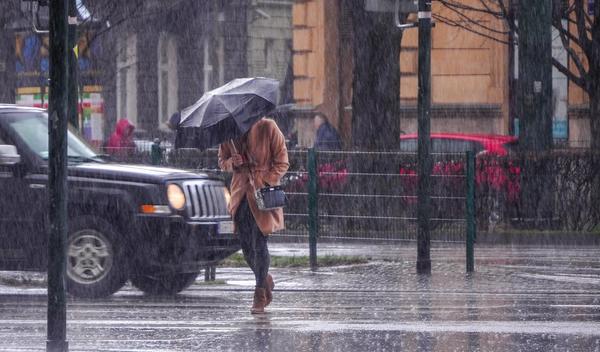 Image for Ledena kiša i susnežica