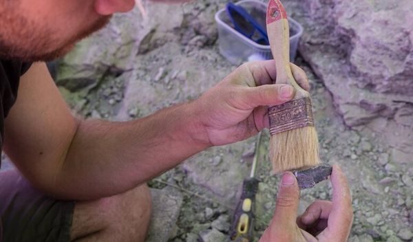 Dinosaurus biljojed, nazvan "Uragasaurus kalasinensis", živeo je pre oko 150 miliona godina, tokom kasne jure, a prema procenama istraživača, dostizao je dužinu do 20 metara