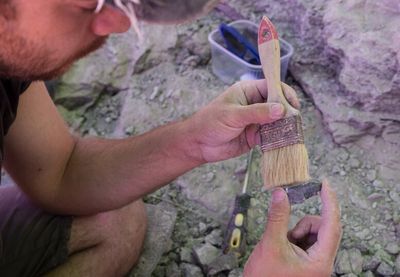 Dinosaurus biljojed, nazvan "Uragasaurus kalasinensis", živeo je pre oko 150 miliona godina, tokom kasne jure, a prema procenama istraživača, dostizao je dužinu do 20 metara