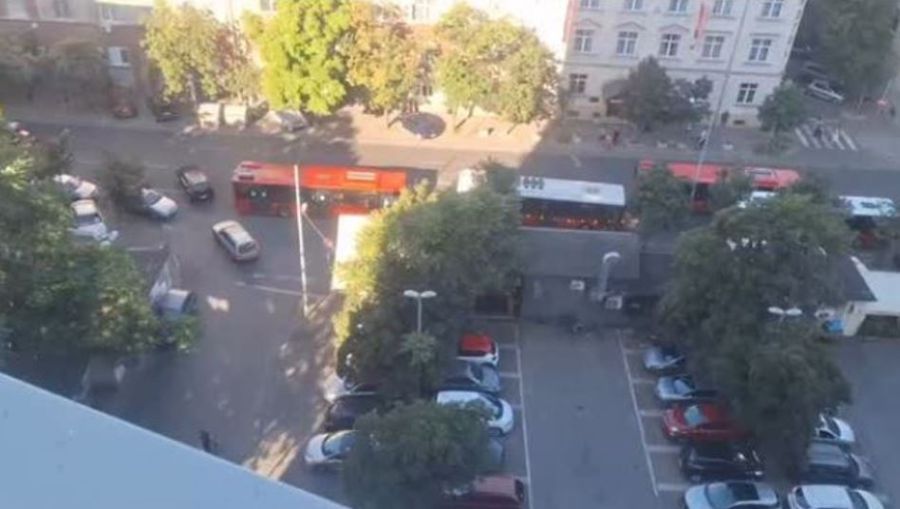 Image for Zemunci uporno prelaze ulicu