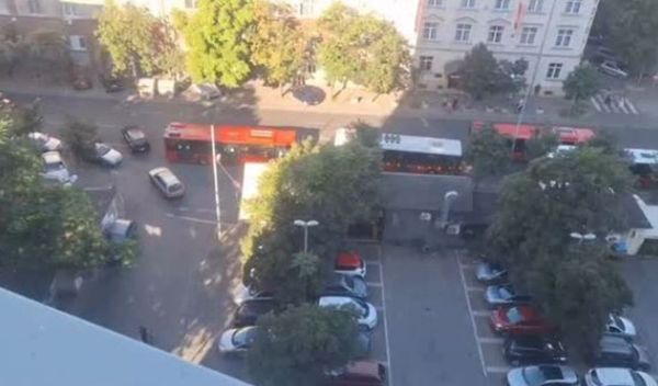 Image for Zemunci uporno prelaze ulicu