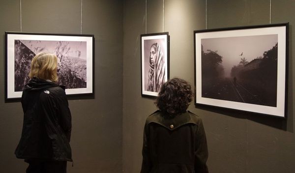 Image for Vizualizator u novembru