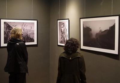 Image for Vizualizator u novembru