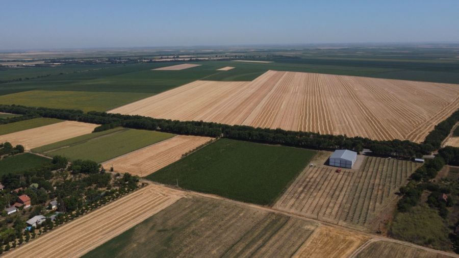 Image for Apel - ne paliti strnjiku