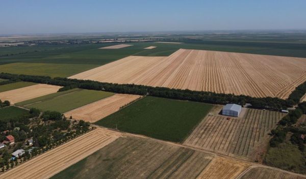 Image for Apel - ne paliti strnjiku