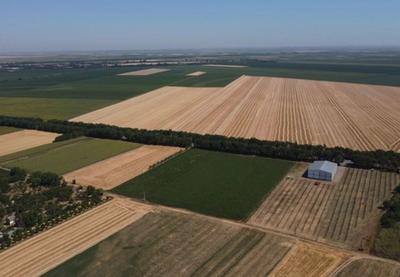 Image for Apel - ne paliti strnjiku