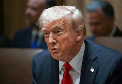 Image for Ostaju carine Kanadi i Meksiku